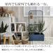 �v�����^�[���b�N �{�b�N�X�t�� �t�F���X �n���M���O �o�� �U�� �I�ׂ�5�F ������� �k�� �r���e�[�W TWILL �c�C�� �������� �Ŕ��� �ډB�� �� ���� ���O �֘A�摜3