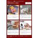 ���T�t�m recolte Rain Drip Coffee Maker �n���C���h���b�v �R�[�q�[���[�J�[ ���R���g �R�[�q�[ �h���b�p�[ �n���h�h���b�v �h���b�v�R�[�q�[ �ۉ� RDC-1 �֘A�摜1