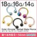 �T�[�L�����[�o�[�x�� �{�f�B�s�A�X 18G 16G 14G �J���[ ��� �V���v��(1����)(�I�}�P�v��)