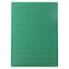  лев офисная работа контейнер разрезной коврик 300×220mm CM-30S зеленый 