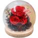 �h���C�t�����[ �v���U�[�u�h�t�����[ �a���v�Z���g �P�[�X���� �K�N �K���X�h�[���v���Z�g �� �{�b�N�X �o�� �i���̉� ���[�Y �A�����W