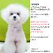 ���� �� ���q�D �l�b�N���X �h�b�O�l�b�N���X ���y��2.3g �l�[���v���[�g �l�[���^�O �A���� ���O ���� ������� �X�e�����X �� ���̂������ �֘A�摜3