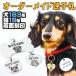 ���� ���q�D �� �L ����� �V�l �q�� ���� �l�[���v���[�g �l�[���^�O �h�b�O�^�O �X�e�����X �������� �� �����Ƃ��킢�� ������ �y�� �y�� �c�t�� �֘A�摜1