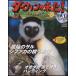 NHKda- wing . пришел!DVD книжка 13 номер sifaka| oo taka