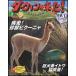 NHKda- wing . пришел DVD книжка 3 номер корзина для рыбы -nya| сахалинский таймень 