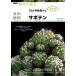 NHK хобби. садоводство 12. месяц культивирование navi NEO суккулентное растение кактус 