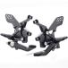 STRIKER SS-ST2141B �X�g���C�J�[ Z900RS/CAFE (-'25) Sports Touring concept STEP KIT 4�|�W�V���� �X�e�b�v�L�b�g KAWASAKI