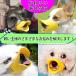 �� ���� ���� �y�b�g �y�b�g�p �i���h�~ ���݂��h�~ �L�Y�r�ߖh�~ ���Ђ邮�� ���Ђ�� �A�q������ �A�q���� �}�X�N ���^�� ���^�� ��^�� �֘A�摜2