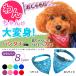  necklace dog cat bandana .... dog cat peiz Lee stylish lovely pet 