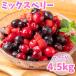  Mix Berry 4.5kg(500g×9 пакет ) фрукты VeryBerry рефрижератор рефрижератор фрукты для бизнеса большая вместимость клубника голубика laz Berry клюква сладости конструкция бесплатная доставка 