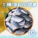  натуральный несоленый . брать ... порез .40g×10 порез еда ... без добавок . брать . порез ..sawala... данный гарнир белый . белая рыба рефрижератор рыба . нет роза .. бесплатная доставка 