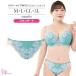 SALE внутренний женщина нижнее белье sanatio шорты (SP-558)
