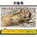 �y���������z���i�q�T�m �G�M���O�Z�b�g�i�G�M���O���b�h&���[�����G�M3�Z�b�g�j7.6ft ���S�� �A�I���C�J �R�E�C�J ����Z�b�g �t�@�~���[�t�B�b�V���O �֘A�摜2