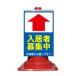 �J���[�R�[���p �Ŕ� �u�����ҕ�W���v��� �S�ʔ���  �O�p�R�[�� �p�C�����p�W���T�C�� �R�[���Ŕ�