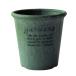  Hachiman .. eko pot / цветочный горшок круглый 4 номер зеленый [papie(Hachiman gardens:papier)]