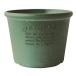  eko pot / цветочный горшок . type 8 номер зеленый [papie(Hachiman gardens:papier)]