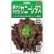 sakata. tane реальный . овощи 3686 lettuce ... мягкость Sunny lettuce 4 сезон .