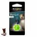 *NITE IZE Night I z домашнее животное litopau зеленый PLATZ Platz Vg домашнее животное товары собака собака . прогулка 