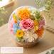�v���U�[�u�h�t�����[ �M�t�g �K���X�h�[�� �t�����A �a�����v���[���g ��e ��� �җ� �P�� ���j�� �L�O�� ���N�L�O �����L�O�� ��̓� �� �֘A�摜3