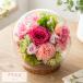 �v���U�[�u�h�t�����[ �M�t�g �K���X�h�[�� �t�����A �a�����v���[���g ��e ��� �җ� �P�� ���j�� �L�O�� ���N�L�O �����L�O�� ��̓� �� �֘A�摜5