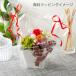 �v���U�[�u�h�t�����[ �M�t�g �v�`�E�V�����E�h�D�E�t���[�� �a�����v���[���g ���j�� ��� �җ� �V�z�j�� �J�X�j�� �J�Əj�� �J�@�j�� ��̓� �� �֘A�摜3
