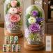������ �� �v���U�[�u�h�t�����[ �K���X�h�[�� ���� �₷�炬 ���� ���d�p �Ւd �� ���� �O��� ����� ���� �@�� ������ �����A 33��� �l�\���