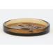 Plus Glashytta большой ga последний Ray диаметр 17cm янтарь # Северная Европа смешанные товары Vintage смешанные товары античный товар бардачок #
