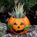  цветочный горшок тыква полимер тыква Halloween чудовище призрак симпатичный садоводство смешанные товары сад смешанные товары сад интерьер сад интерьер двор. оборудование орнамент 