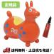 -®ϥǥݥ- RODY MAX / ǥ ޥå -  / Orange   礭 礭 ǥ   Х󥹥ܡ ץ쥼   --