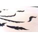 ���@���� ���� �y�V�i�z 900mm�~300mm�E1�� ���� ���������� / �P�� ��/���̖��� ���C�ꖇ�� ���Y�� �������H �֘A�摜4