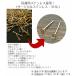 �s�A�X �ɏ� �����A�����M�[�Ή� �V���v�� 1.6mm 2mm 2.5mm 22G ������ �ɏ� ��×p���� �T�[�W�J���X�e�����X �����ςȂ� �d�� ���� �֘A�摜3