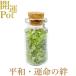  оливин звезда . Mini pot Хара . love . жизнь. . flat мир безопасность натуральный камень Power Stone счастливый случай item ... исключая . амулет украшение интерьер 