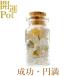  белый Phantom кварц звезда . Mini pot успех иен полный quotient . натуральный камень Power Stone счастливый случай item ... исключая . амулет украшение интерьер 
