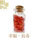 ... звезда . Mini pot . удача длина . натуральный камень Power Stone счастливый случай item ... исключая . амулет украшение интерьер ... камень маленький бутылка бесплатная доставка почтовая отправка 