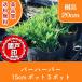 высокое качество балка Haba pot модель 15cm pot 5 pot комплект Revue . написать привилегия есть бесплатная доставка!( Kanto * Tokai * Kansai * Hokuriku * Shinetsu . ограничение )