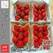 5 месяц ограничение ..... клубника 250g×4 фрукты фрукты Hokkaido .. блок звезда. реальный ферма подарок на Bon Festival сельское хозяйство . прямая поставка 