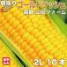  Hokkaido fastest class shipping early stage reservation 7 month last third .. shipping corn Hokkaido production Gold Rush 2L size × 10ps.@ morning .. direct delivery from producing area sweet corn Hakodate city mountain rice field farm 