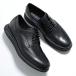 COLE HAAN Cole Haan платье обувь OG RMSTD WINGTIP OX C39597 мужской кожа wing chip легкий wise M обувь кожа обувь BLACK/BLACK