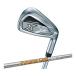  Dunlop XXIO X железный одиночный товар (#5,AW,SW) Dynamic Gold 95 steel вал [DUNLOP XXIO X eks]