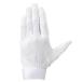 < кошка pohs отправка бесплатная доставка > Mizuno (MIZUNO) 1EJEY32010 бейсбол Junior .. перчатка gachi.. перчатки Jr. левый рука для средняя школа бейсбол правило соответствует 25AW