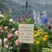 �K�[�f�j���O �G�� �K�[�f���s�b�N �T�C���s�b�N �T�C���{�[�h �v���[�g �� �u�� �I�u�W�F �I�[�i�����g �f�B���F���t�F���X YZ-UN2341-120