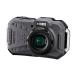 �y�n���f�B�t�@���v���[���g�z PENTAX�i�y���^�b�N�X�jWG-1000 �O���[