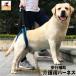  уход для Harness задний для ноги после пара собака для собака товары для домашних животных ремень приспособление для ходьбы THKJli - bili поддержка . собака sinia высота . травма препятствие сетка выход для помещений 