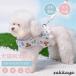 ���� �N�}���� �؍��� ���L�p�����ā��n�[�l�X�����[�h�Z�b�g �y�b�g������  ���[�h �y�b�g�O�b�Y ���L���[�h ���� �����Ђ� �ʋC�� �����Ȃ� ���S�݌v