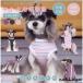  собака для кошка для . после одежда девочка мужчина .... рука . после одежда мужской женский царапина облизывание предотвращение . после одежда эластичность кожа царапина . защита маленький средний собака . после одежда домашнее животное одежда передний открытие застежка-молния есть 