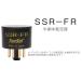 TECSOL SSR-FR ламповый усилитель для * половина проводник целый . контейнер (5AR4*GZ34*5U4*5Y3*274B)