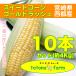 [ limited amount / reservation sale ] corn Miyazaki prefecture west city production sweet corn Gold Rush 10 pcs set ( approximately 4kg corresponding :6 month on . shipping. after, sale end )