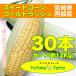 [ limited amount / reservation sale ] corn Miyazaki prefecture west city production sweet corn Gold Rush 30 pcs set ( approximately 12kg corresponding :6 month on . shipping. after, sale end )