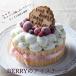 Berry. ice cheese cake [5 number ]