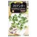  трава. вид кориандр (kou носорог )takii маленький пакет ( овощи. вид )